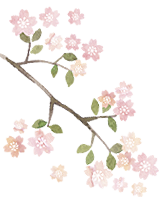 桜